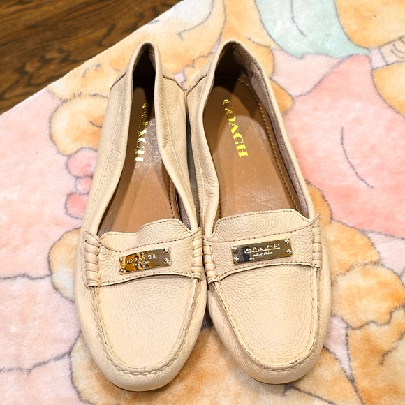 Coach 7.5 - Picture 2 of 4